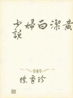 少妇白洁黄色小说