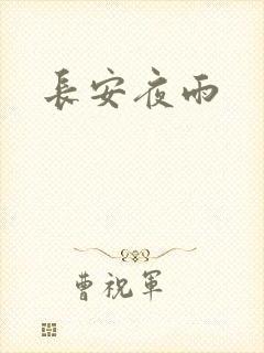 长安夜雨