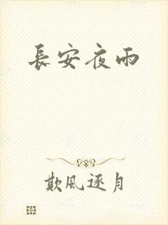 长安夜雨封面