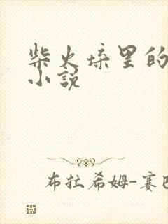 柴火垛里的疯狂小说封面