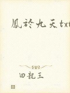 凤于九天txt