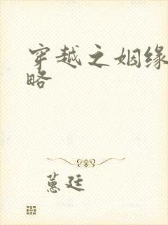 穿越之姻缘劫攻略封面