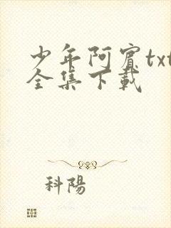 少年阿宾txt全集下载