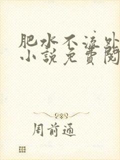 肥水不流外人田小说免费阅读