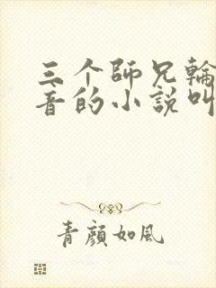 三个师兄轮流上音的小说叫什么