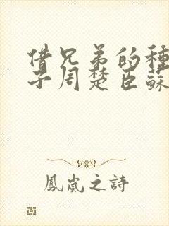 借兄弟的种生孩子周楚臣苏糖