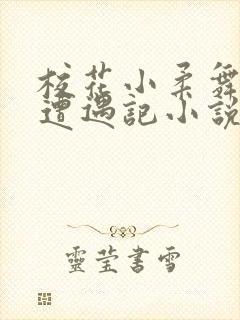 校花小柔舞蹈室遭遇记小说封面