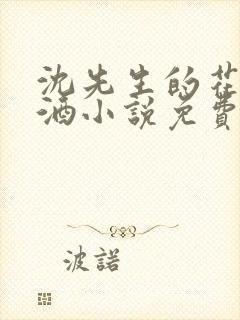 沈先生的花式调酒小说免费阅读封面