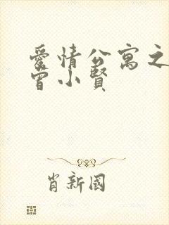 爱情公寓之极品曾小贤封面