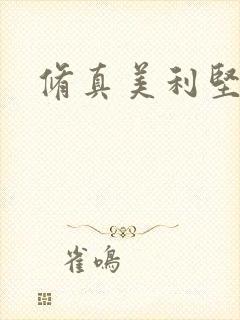 修真美利坚封面