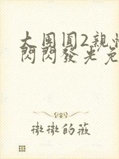 大团圆2亲情会闪闪发光免费封面