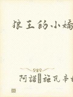 狼王的小娇妻