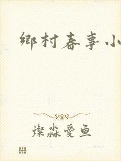 乡村春事小说封面