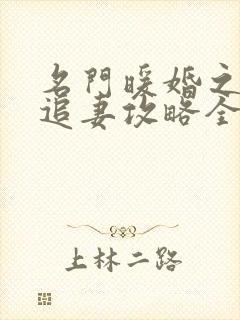 名门暖婚之权爷追妻攻略全文免费阅读