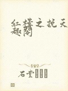 红楼之挽天倾笔趣阁封面