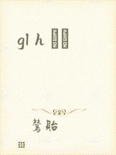 gl h С˵封面