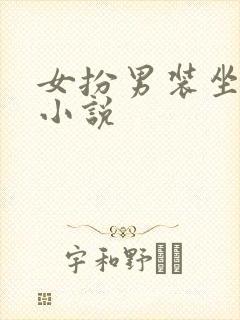 女扮男装坐江山小说