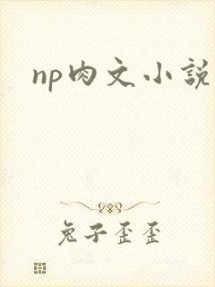 np肉文小说