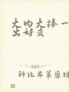 大肉大捧一进一出好爽