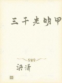 三千光明甲