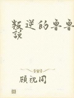 叛逆的鲁鲁修小说