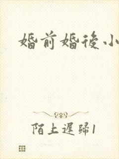 婚前婚后小说