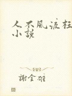 人不风流枉少年小说封面