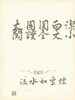 大团圆白洁免费阅读全文小说