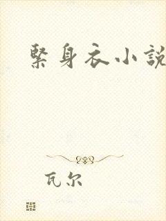 紧身衣小说