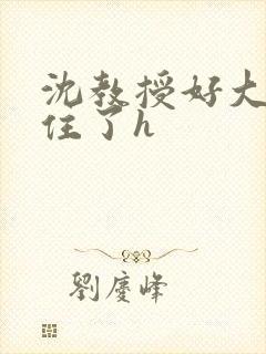 沈教授好大含不住了h