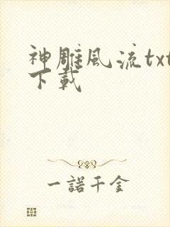 神雕风流txt下载