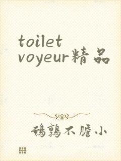 toilet voyeur精品封面
