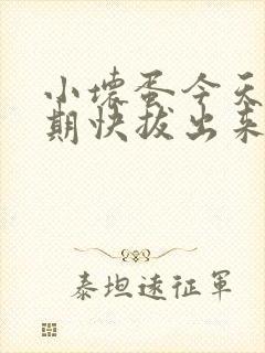 小坏蛋今天危险期快拔出来