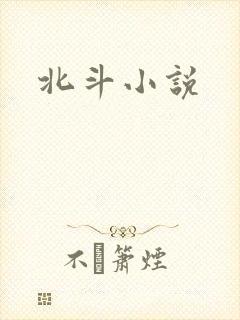 北斗小说