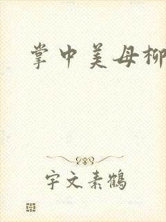 掌中美母柳玉茹封面