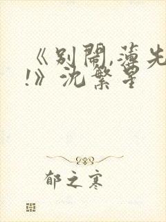 《别闹,薄先生!》沈繁星封面