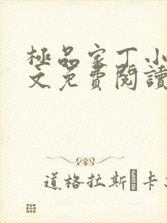 极品家丁小说全文免费阅读