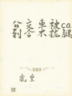 公交车被cao到合不拢腿视频