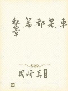 整篇都是车的文章