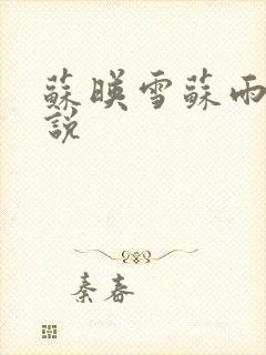 苏映雪苏雨柔小说封面