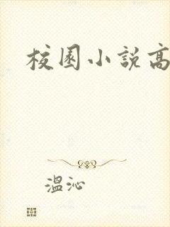 校园小说高h封面