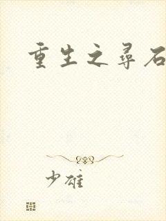 重生之寻石者封面