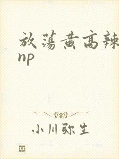 放荡黄高辣h文np封面