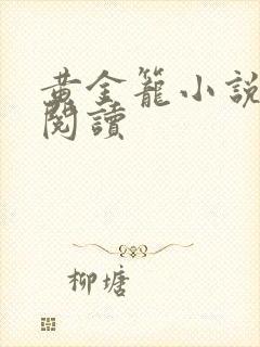 黄金笼小说免费阅读封面