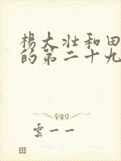 杨大壮和田桂花的第二十九