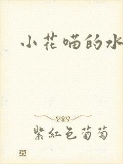 小花喵的水蜜桃