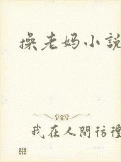 操老妈小说