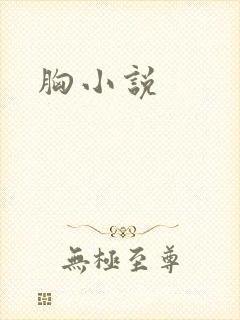 胸小说