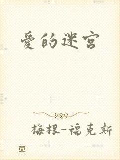 爱的迷宫封面