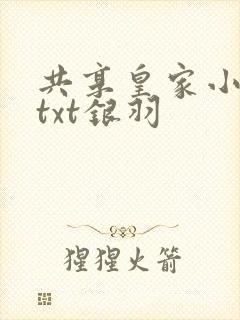 共享皇家小公主txt银羽